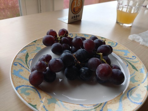 Compress_20251110_122843_3300