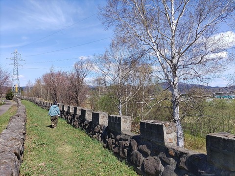 IMG_20240429_094355_copy_1332x999