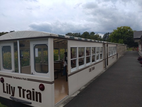 Compress_20251029_123412_2918