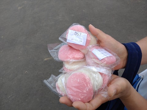 Compress_20250902_121413_3439