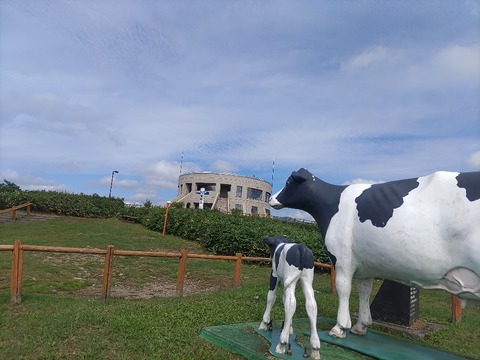 IMG_20230917_100319_copy_955x716