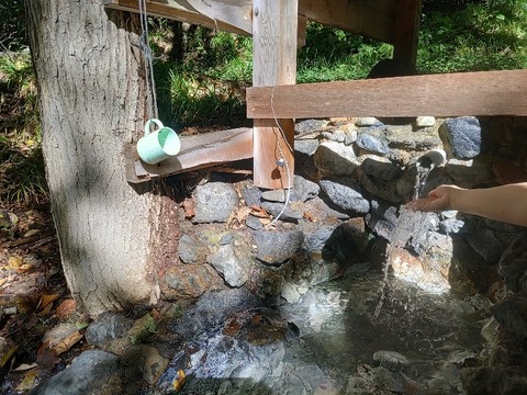 IMG_20230924_091515_copy_788x591