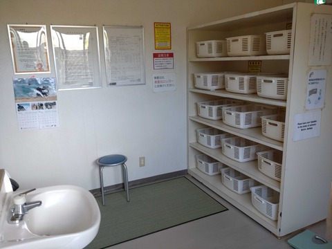 Compress_20250830_152504_4560