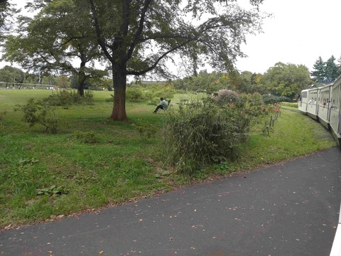 Compress_20251029_123415_5471