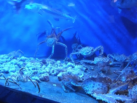 2022_0722_07004905_copy_897x672