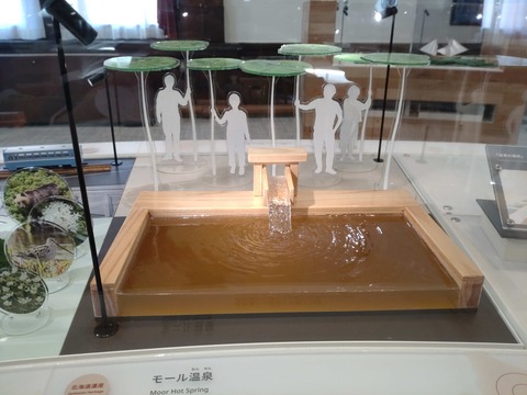 Compress_20250825_074221_1913