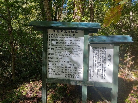 IMG_20230924_091506_copy_769x576