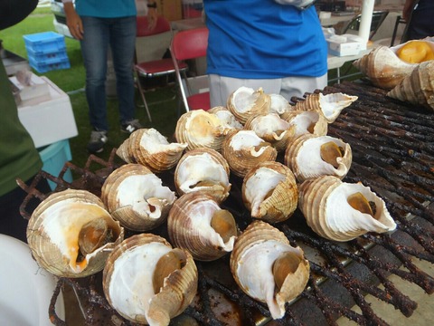 2019_0831_16285200-1280x960