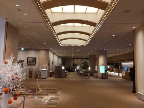 IMG_20240223_072020_copy_4000x3000