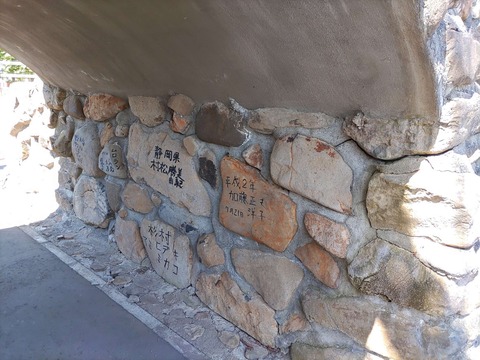 IMG_20240429_094247_copy_2264x1698