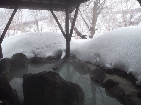 2020_0301_15213900_copy_1280x960