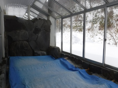 2019_0107_22480400(2)_copy_1280x960