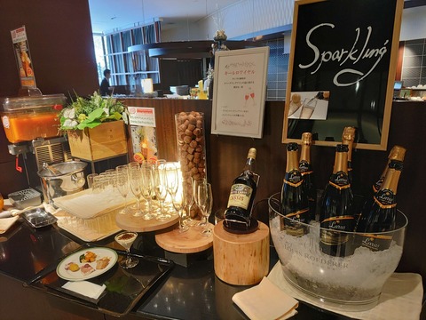 IMG_20240223_073015~2_copy_2880x2160