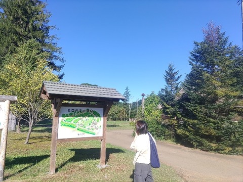 IMG_20230924_084804_copy_824x618