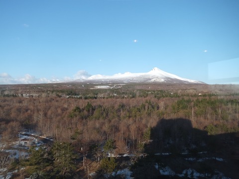 2020_0321_06443300_copy_1280x960