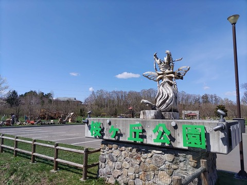 IMG_20240429_093000_copy_2624x1968