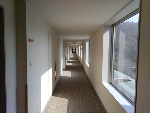 IMG_20240413_151555_copy_3656x2742