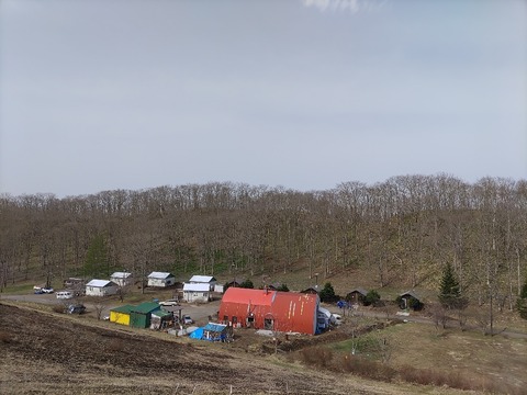 IMG_20230504_081834_copy_957x717