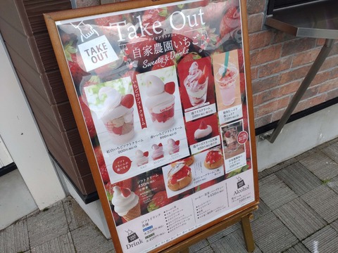 DSC_0069_copy_2708x2031