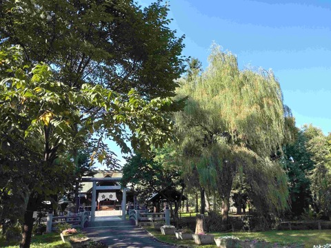 Compress_20250925_124156_6513