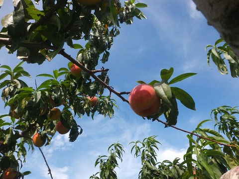 2019_0908_09400500-1280x960