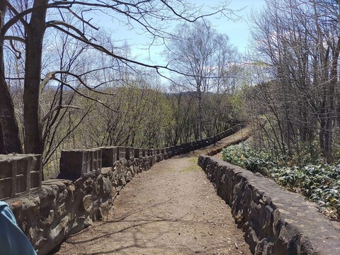 IMG_20240429_094744_copy_1524x1143