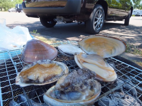 2020_0621_12261500_compress49