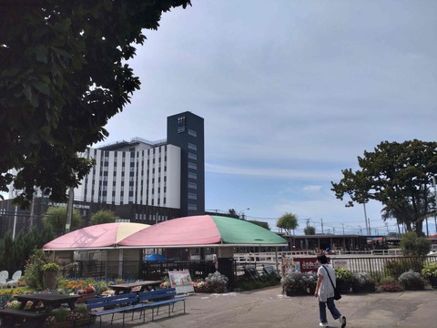 Compress_20250915_111429_9814