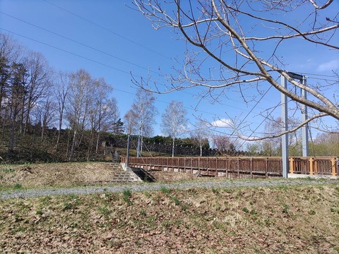 IMG_20240429_094052_copy_1436x1077