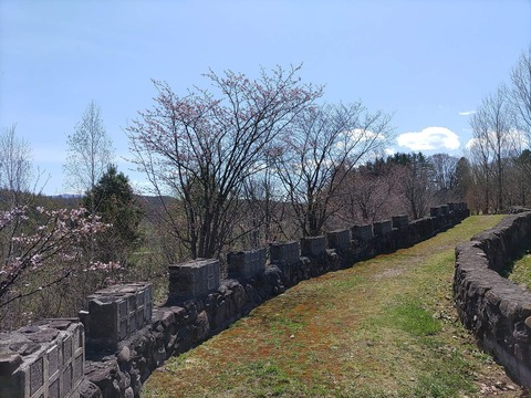 IMG_20240429_095015_copy_1636x1227