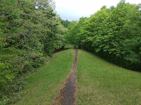 IMG_20230520_071933_copy_769x576