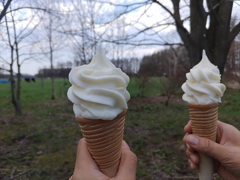 IMG_20240503_105220_copy_4000x3000