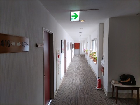 IMG_20230422_135608_copy_1025x768