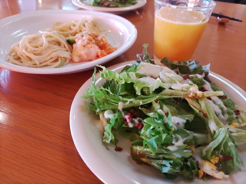 IMG_20230129_113442_copy_940x705