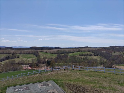 IMG_20240429_115840_copy_2708x2031