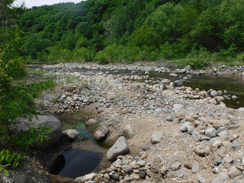 2020_0614_10135200_compress4