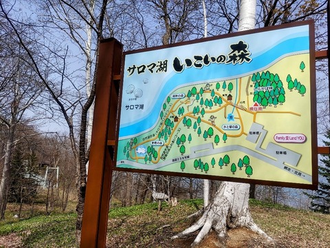 IMG_20240427_121226~2_copy_984x738