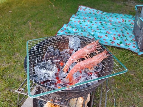 IMG_20230527_180544_copy_772x579