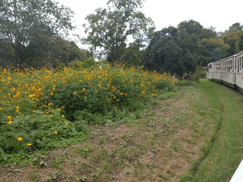 Compress_20251029_123414_4775