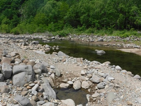 2020_0614_10133800_compress53