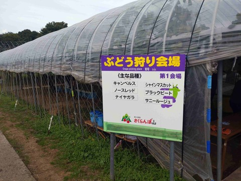 Compress_20251030_204555_5333