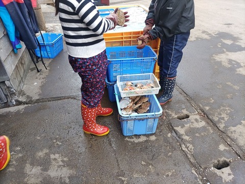 IMG_20240317_111229_copy_1452x1089