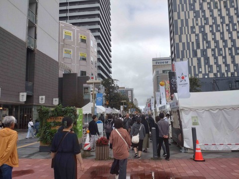 Compress_20250923_212441_1481