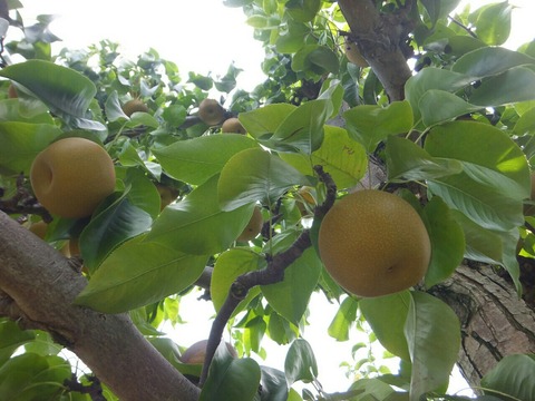 2019_0908_10255000-1280x960