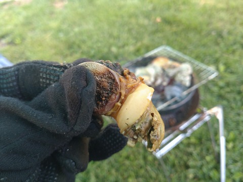 DSC_0095_copy_2000x1500