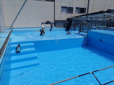 IMG_20230618_101234_copy_873x654