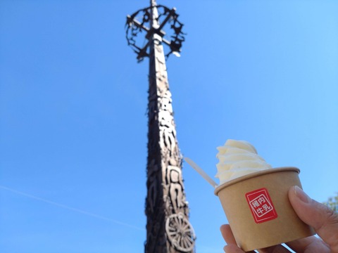 DSC_0433_copy_4000x3000