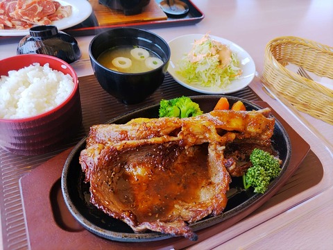 IMG_20240429_113242_copy_2704x2028