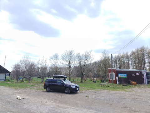 IMG_20240503_105551_copy_2452x1839