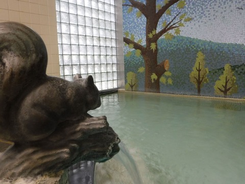 2022_0101_00455100_compress53